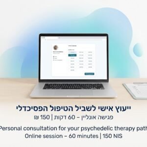 פגישת ייעוץ